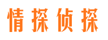 蕉城市婚外情调查